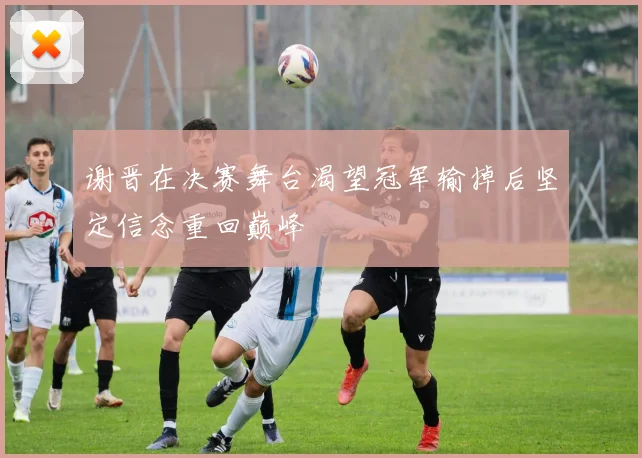 谢晋在决赛舞台渴望冠军输掉后坚定信念重回巅峰