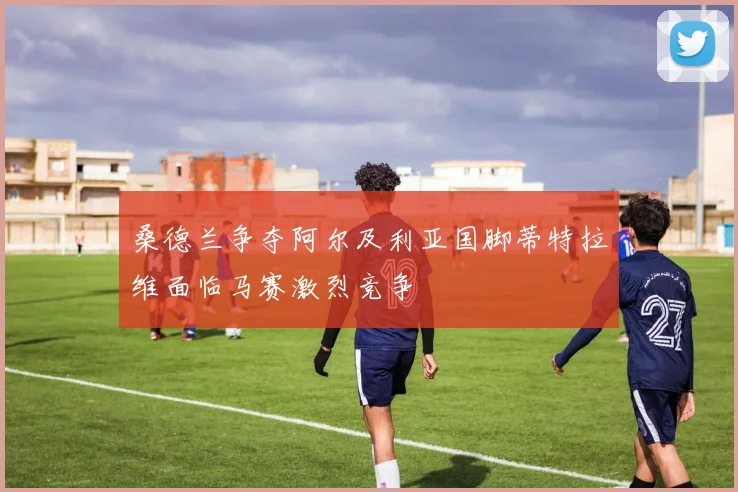 桑德兰争夺阿尔及利亚国脚蒂特拉维面临马赛激烈竞争